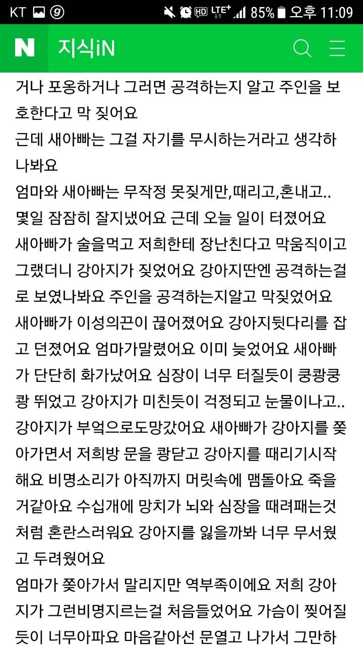 강아지가 새아빠한테 맞아 죽은거같아요 도와주세요 | 인스티즈