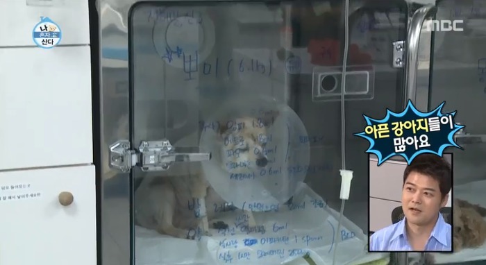 [나혼자산다] 전현무와 17살 반려견 또또 이야기.jpg | 인스티즈