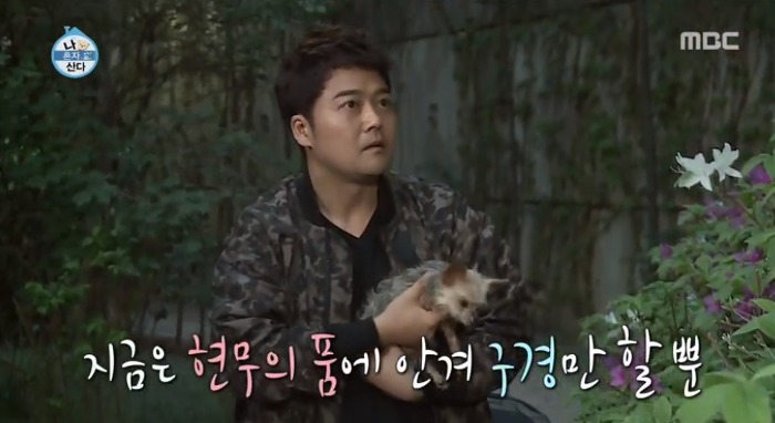 [나혼자산다] 전현무와 17살 반려견 또또 이야기.jpg | 인스티즈