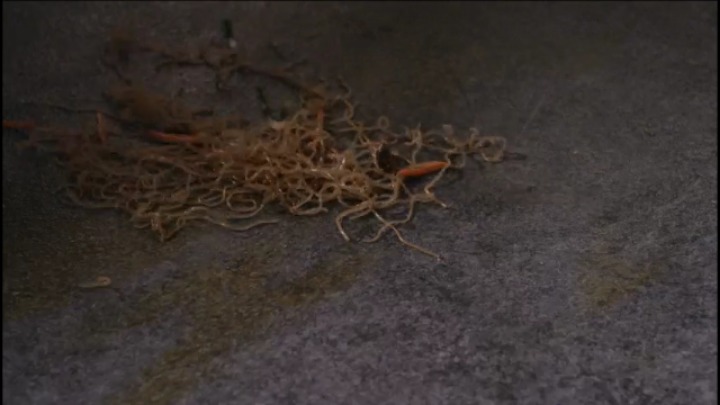 드라마 김과장 회계부 VS경리부 역대급 식당 혈투씬 (대환장) | 인스티즈