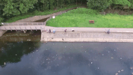 추락하는 드론을 본 주인 | 인스티즈