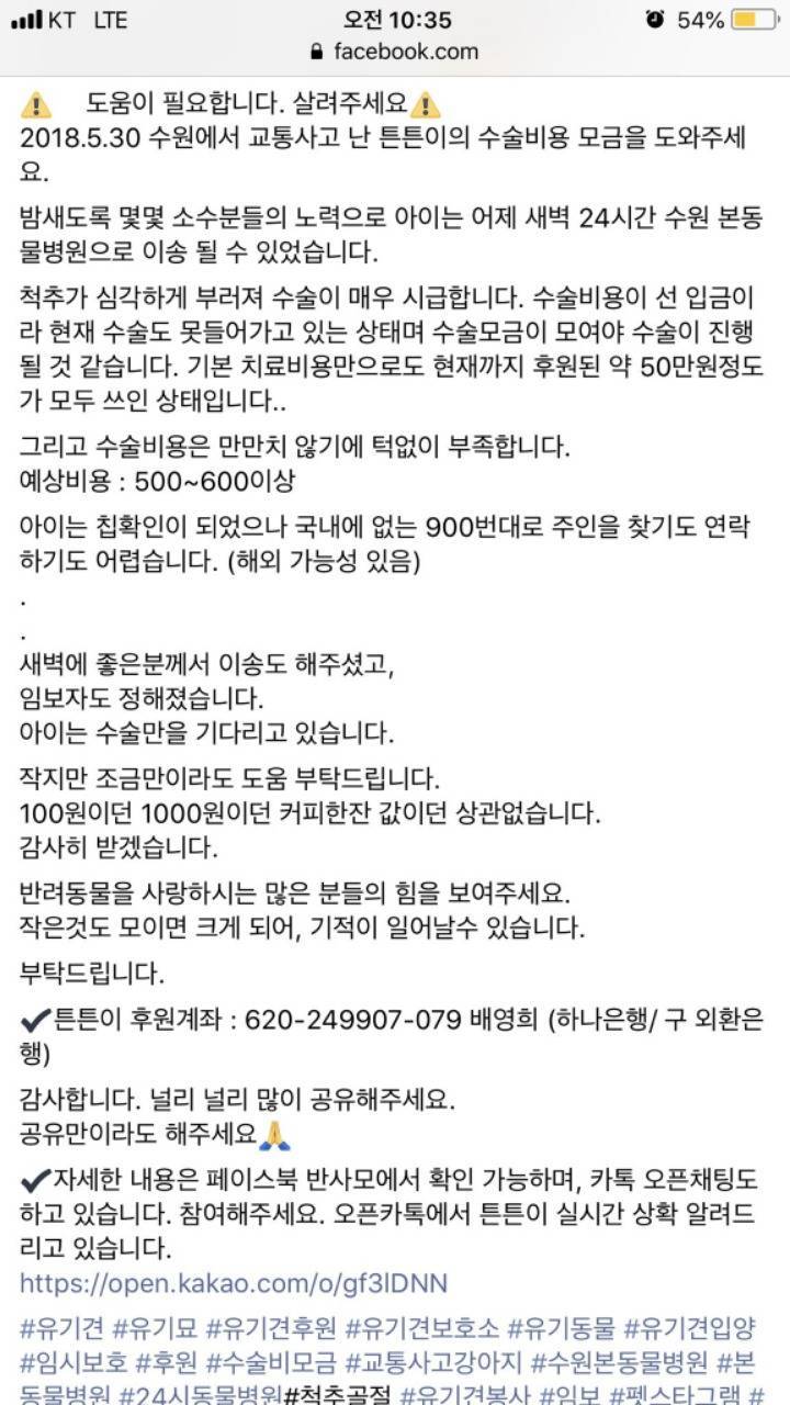 뺑소니 당한 강아지의 수술비를 모금중입니다ㅠㅠㅠ | 인스티즈