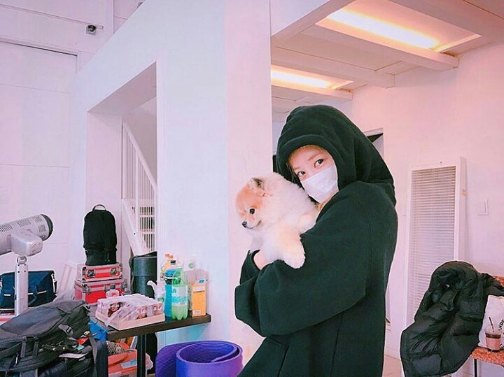 남주네 강아지에 빠진 에이핑크멤버들 | 인스티즈