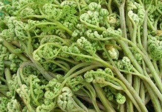 아기 손을 왜 고사리 손이라고 부를까? | 인스티즈