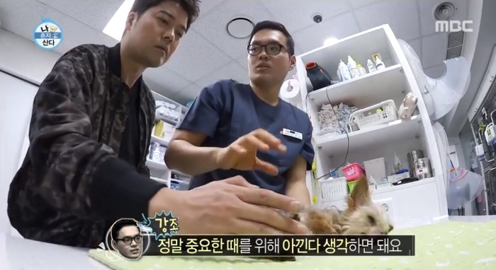 [나혼자산다] 전현무와 17살 반려견 또또 이야기.jpg | 인스티즈