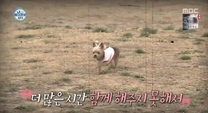 [나혼자산다] 전현무와 17살 반려견 또또 이야기.jpg | 인스티즈