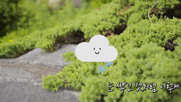 청와대 공식 식물박사 앞에서 지적당하는 임실장ㅋㅋㅋㅋㅋㅋㅋㅋㅋ | 인스티즈