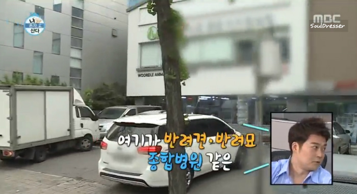 [나혼자산다] 전현무와 17살 반려견 또또 이야기.jpg | 인스티즈