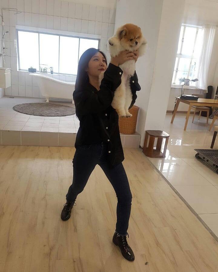 남주네 강아지에 빠진 에이핑크멤버들 | 인스티즈
