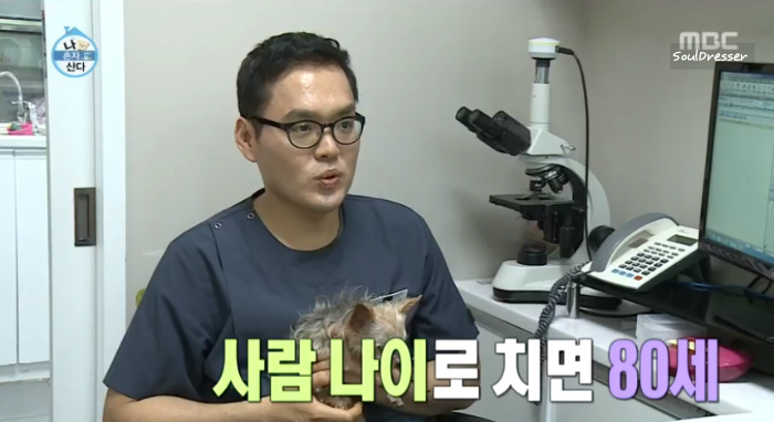 [나혼자산다] 전현무와 17살 반려견 또또 이야기.jpg | 인스티즈