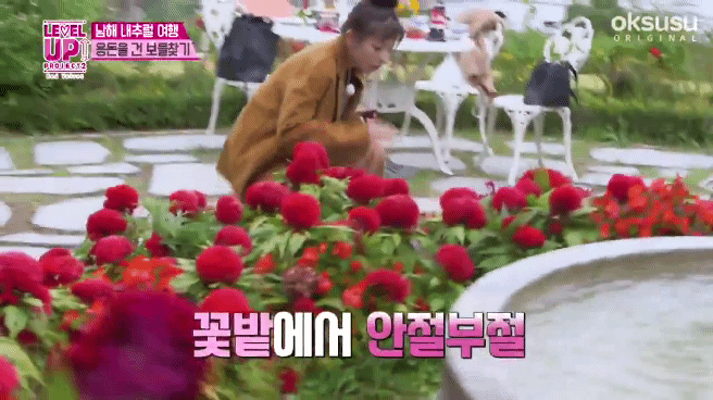 꽃을 못 만지는 슬기.gif | 인스티즈