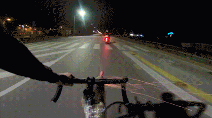 자라니 포병 | 인스티즈