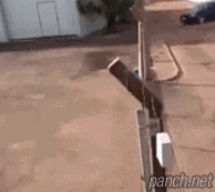 바른생활의 택배기사 | 인스티즈