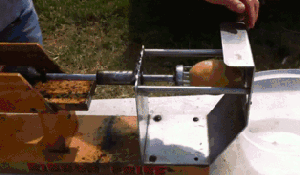 감자 한개에서 나올수있는 감자칩 양 | 인스티즈