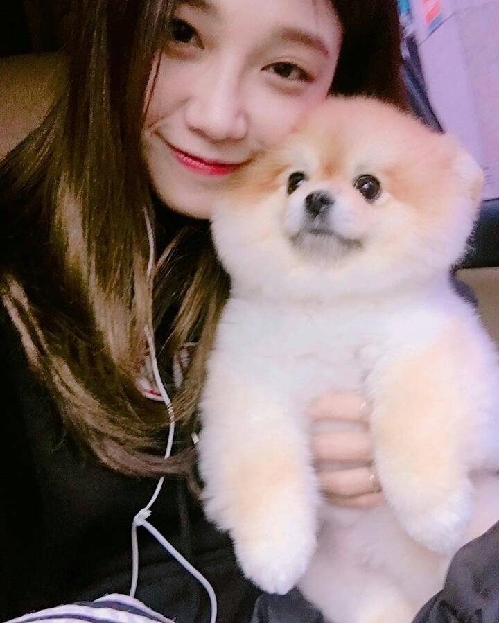 남주네 강아지에 빠진 에이핑크멤버들 | 인스티즈