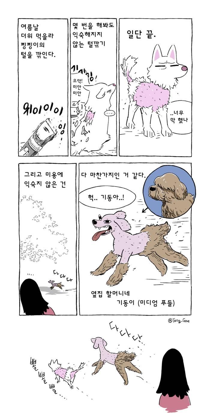고양이 여덟마리와 살았다 | 인스티즈