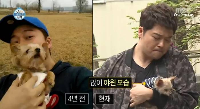 [나혼자산다] 전현무와 17살 반려견 또또 이야기.jpg | 인스티즈