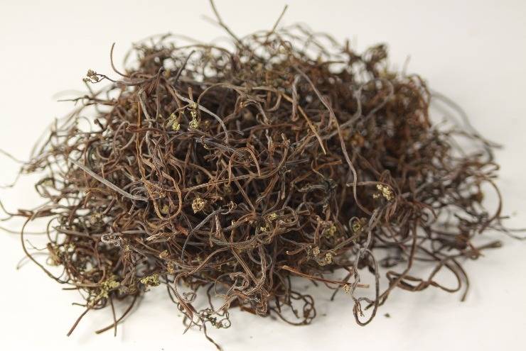 아기 손을 왜 고사리 손이라고 부를까? | 인스티즈