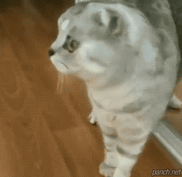 엘레베이터 거울.gif | 인스티즈