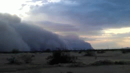 인간은 절대로 자연을 이길수 없다 | 인스티즈