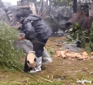 국수 도둑이 검거되었다는 소식입니다 | 인스티즈