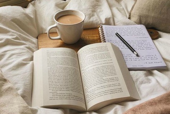 한분야에 천재가 될수있다면 내가 택할 분야는? | 인스티즈