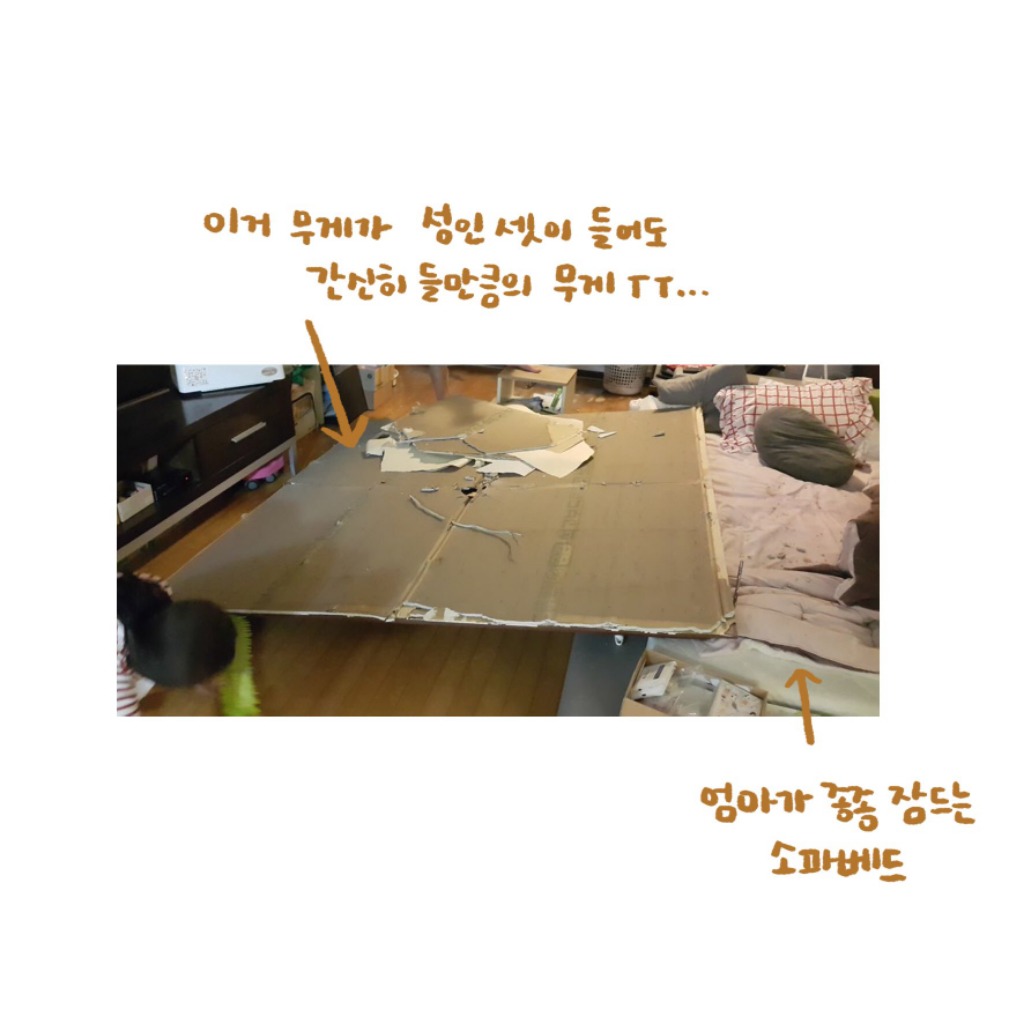 은혜갚은 고양이 겨울이 ㅜ.ㅜ | 인스티즈