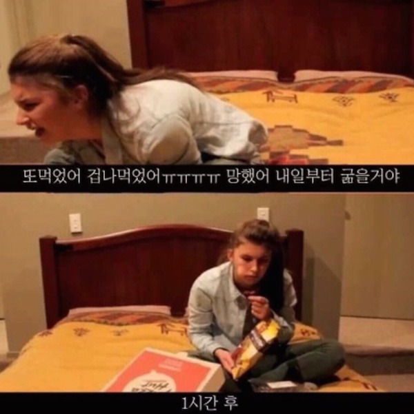 다이어트 실패 이유 | 인스티즈