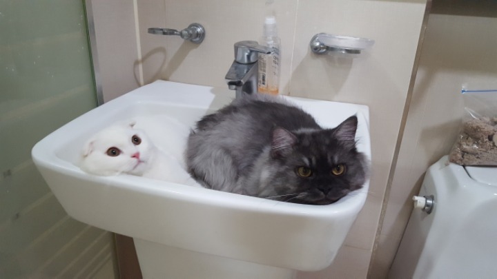 새벽에 자다 깨서 화장실을 갔는데... | 인스티즈