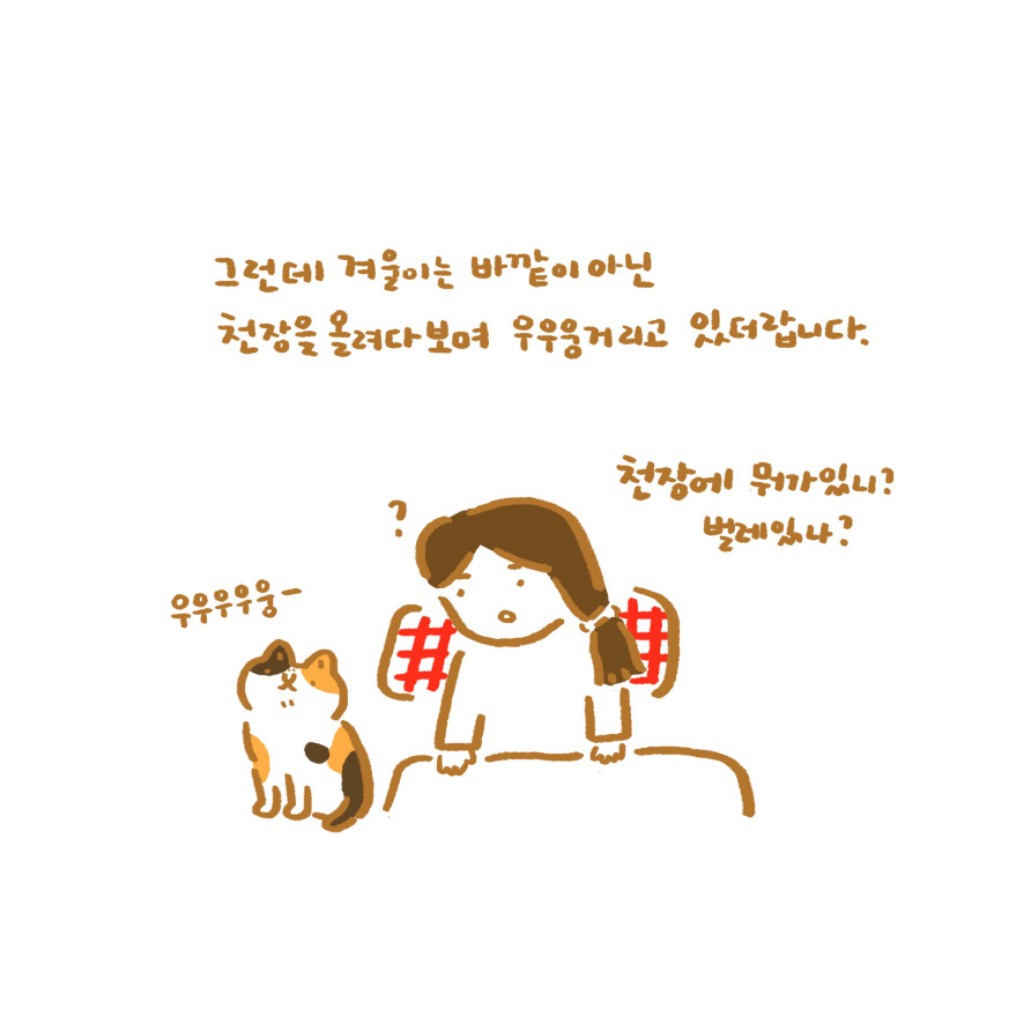 은혜갚은 고양이 겨울이 ㅜ.ㅜ | 인스티즈