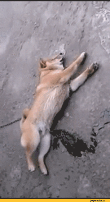 천국을 맛볼수있는 지상 최고의 워터슬라이드 | 인스티즈