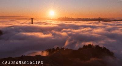 인간은 절대로 자연을 이길수 없다 | 인스티즈