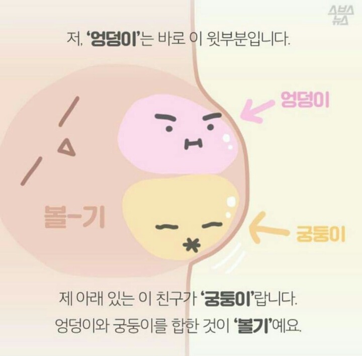 엉덩이의 진실 | 인스티즈