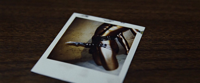 몇 가지나 가지고 있습니까? (혐오주의) | 인스티즈