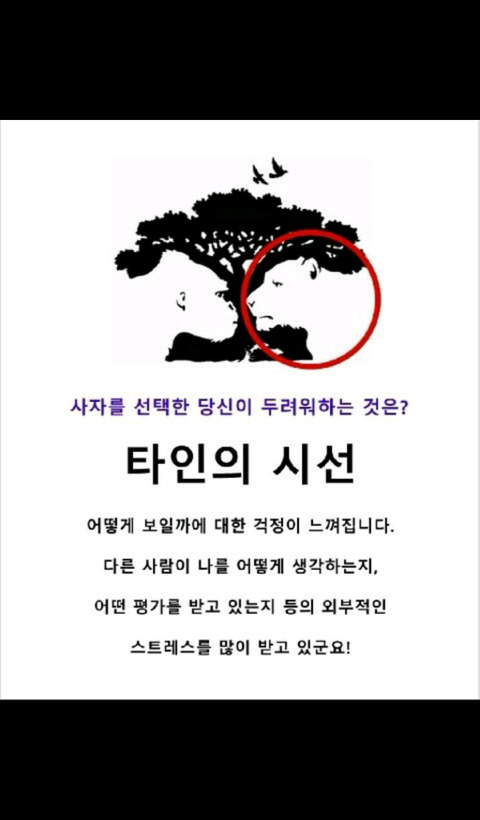 따분한 오후 심리테스트 모음 | 인스티즈
