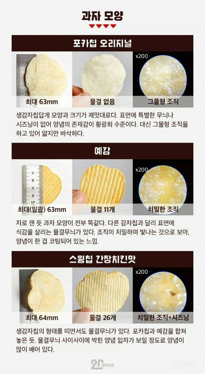 공대생의 흔한 감자칩 리뷰.jpg(약빨주의ㅋ) | 인스티즈