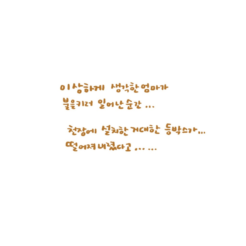 은혜갚은 고양이 겨울이 ㅜ.ㅜ | 인스티즈