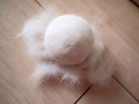 니 털이다.jpg | 인스티즈