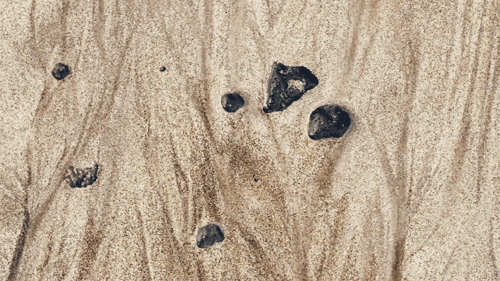  내 사랑도 그렇게 왔다 | 인스티즈