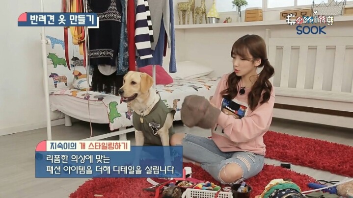 강아지 옷 만드는 지숙.jpg | 인스티즈