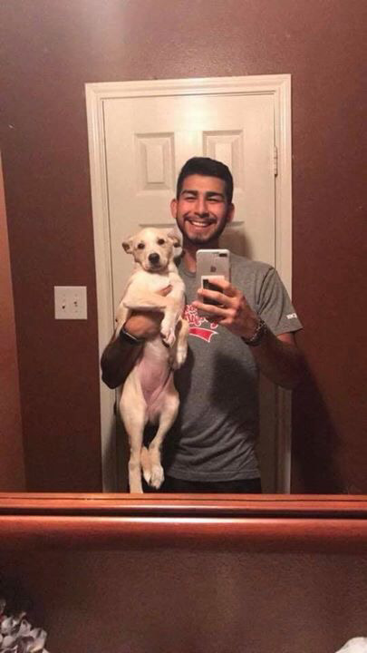 멍멍이의 1년 성장기.jpg | 인스티즈