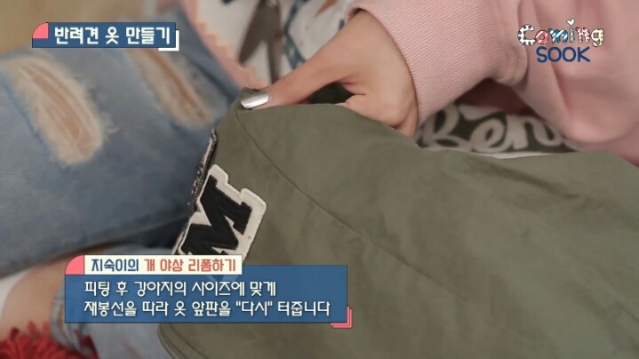 강아지 옷 만드는 지숙.jpg | 인스티즈