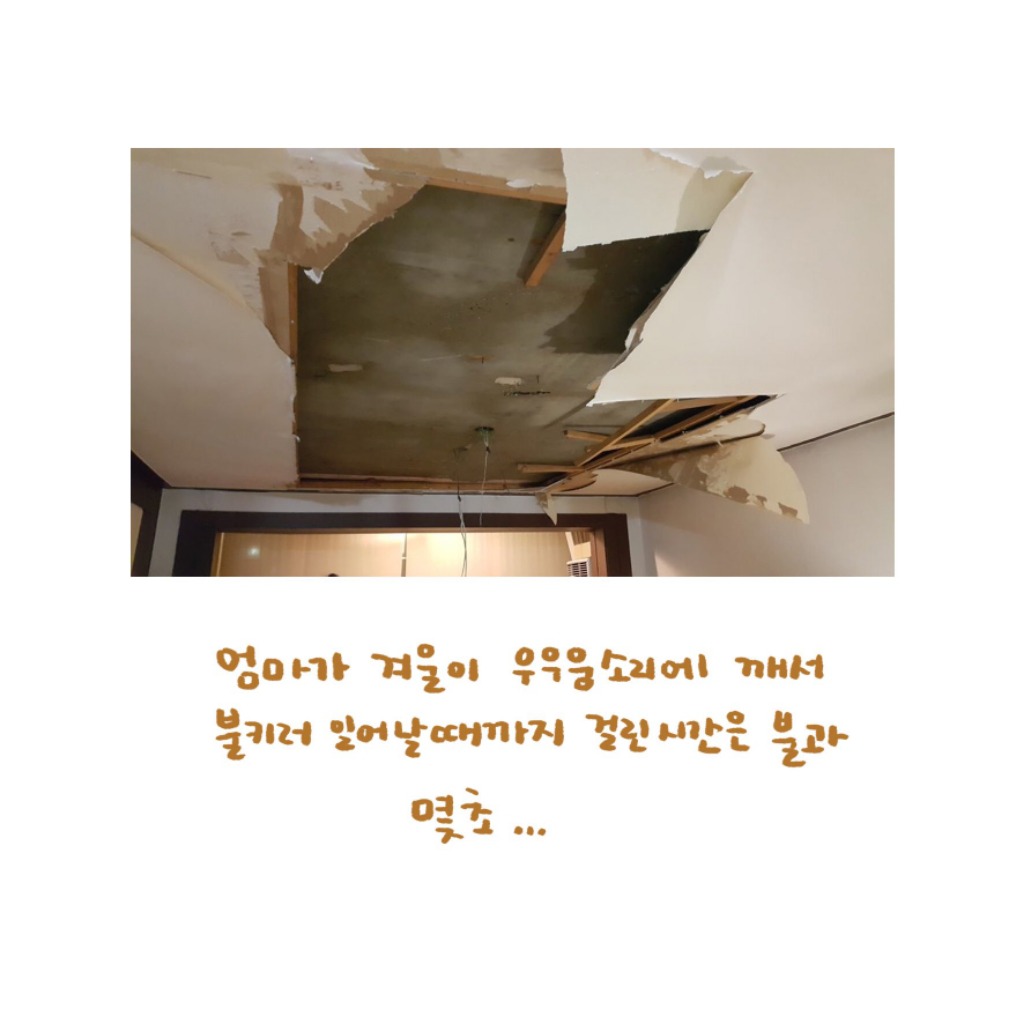 은혜갚은 고양이 겨울이 ㅜ.ㅜ | 인스티즈