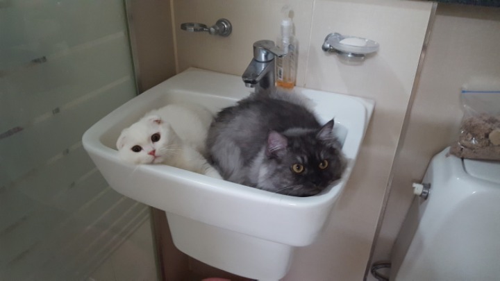 새벽에 자다 깨서 화장실을 갔는데... | 인스티즈