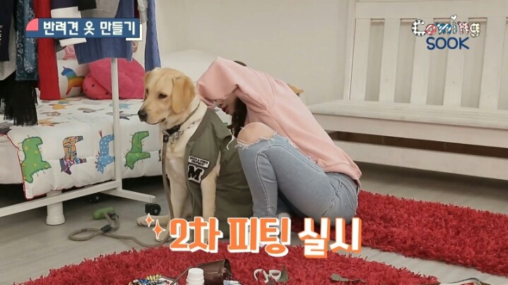 강아지 옷 만드는 지숙.jpg | 인스티즈