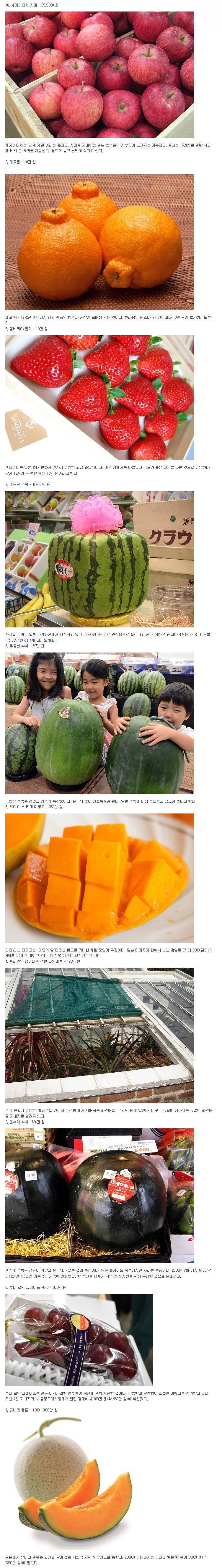 세상에서 가장 비싼 과일 | 인스티즈