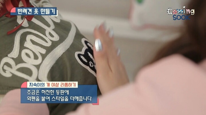 강아지 옷 만드는 지숙.jpg | 인스티즈