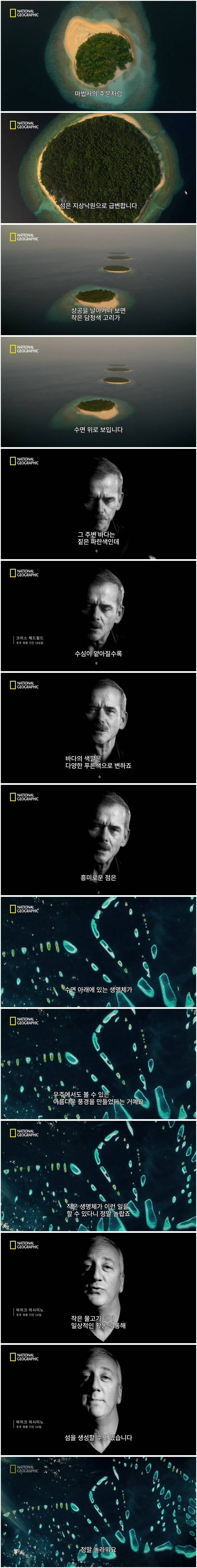 펌글) 먹고 싸기만 해도 지구에 유익한 비늘돔 .jpgif | 인스티즈