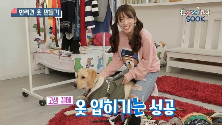 강아지 옷 만드는 지숙.jpg | 인스티즈