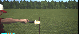 아르마딜로의 쩌는 방어력 | 인스티즈